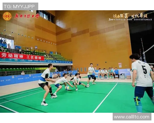 排球专题：聚焦成都排球队的实力